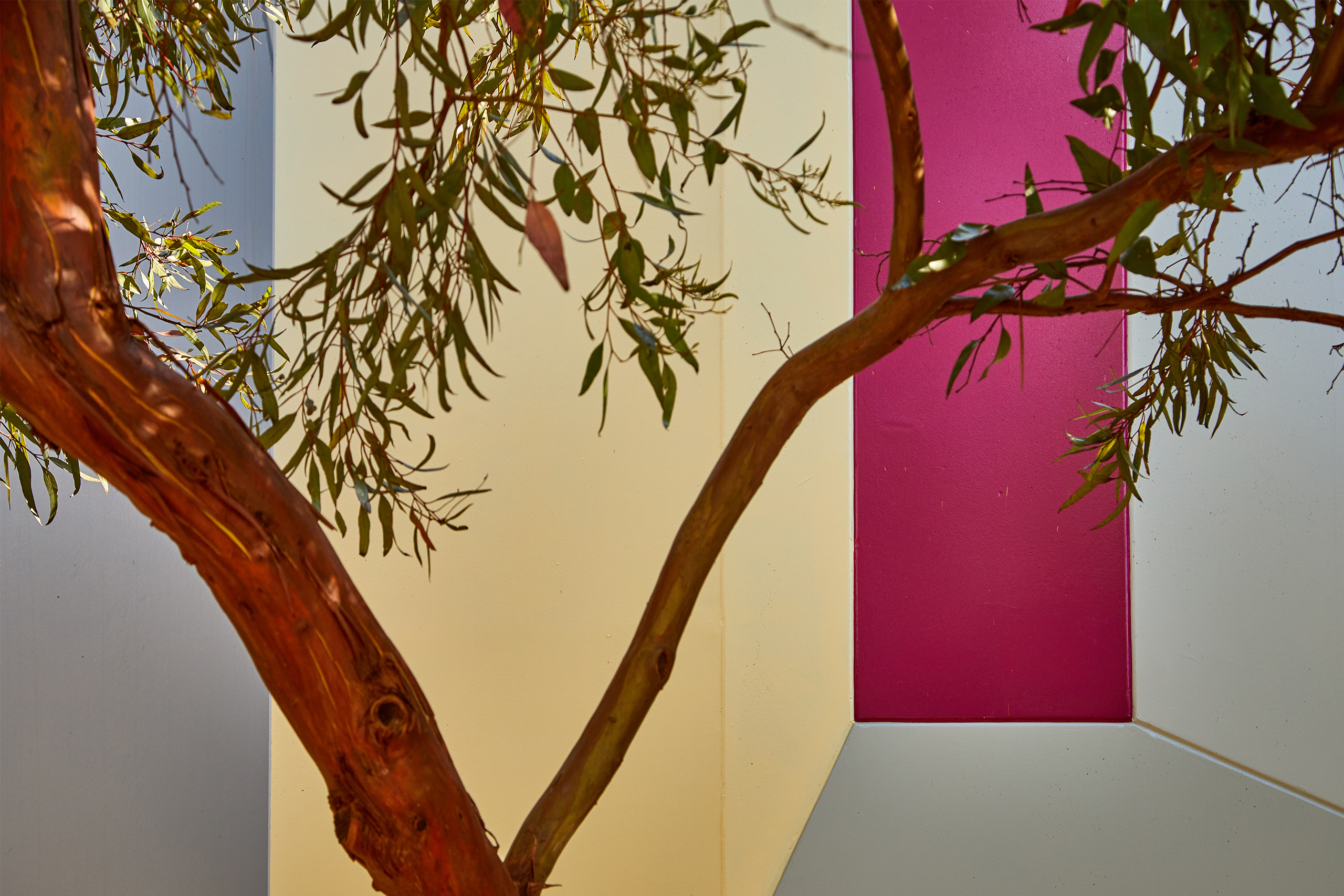 Claisebrook_Stn-Walls-70-web
