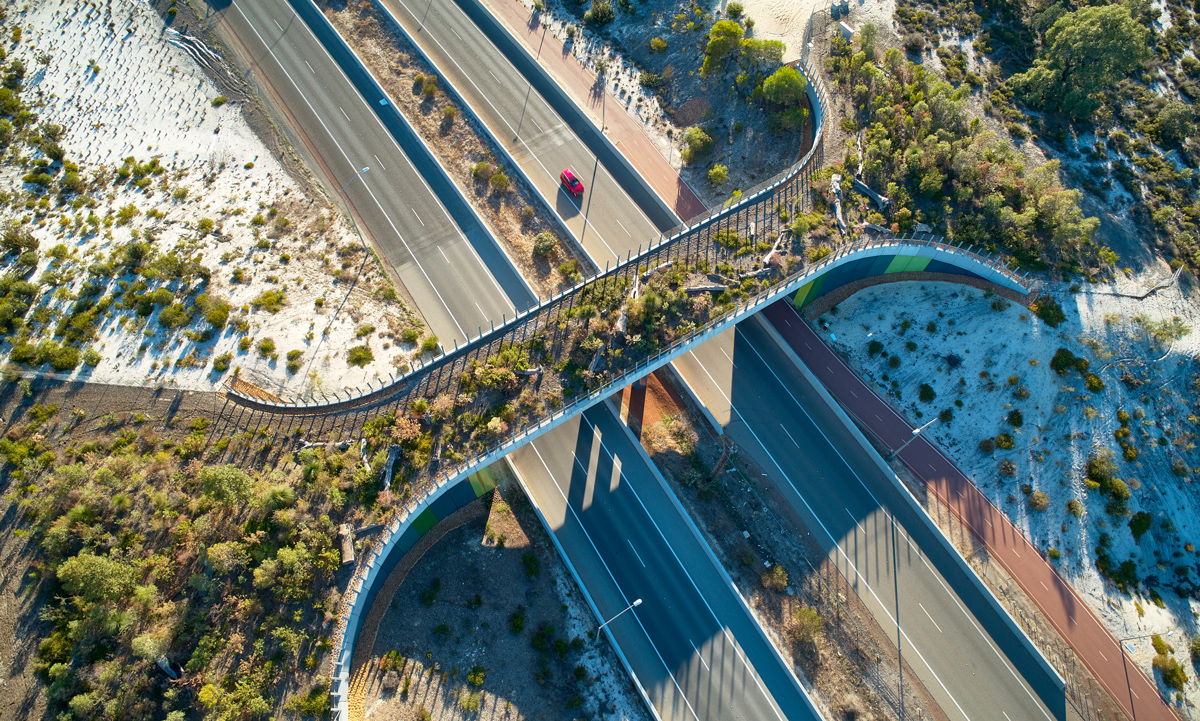 Ellenbrook wildlife bridge is a 12-meter-wide bridge north of Ellenbrook in Western Australia, designed to connect bushland known to house abundant wildlife. Utlising Geoquest Australia’s Reinforced Earth walls and precast concrete elements for both bridge abutments and retaining walls