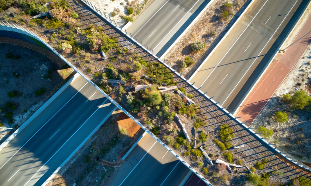 Ellenbrook wildlife bridge is a 12-meter-wide bridge north of Ellenbrook in Western Australia, designed to connect bushland known to house abundant wildlife. Utlising Geoquest Australia’s Reinforced Earth walls and precast concrete elements for both bridge abutments and retaining walls
